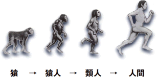 猿→猿人→類人→人間「進化図」